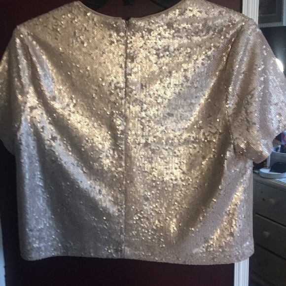 Forever21 Light Pink Sequence Crop Top - Picture 2 of 4